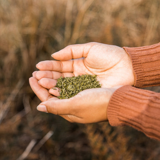 5 Simple Tricks to Identify Top-Grade Herbs