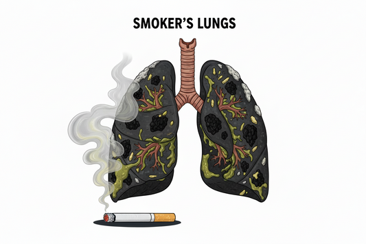 smokers lungs with mucus and tar, with cigarette underneath